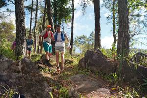 BIB: 
                            <button type="button" onclick="openModal(18936669)" class="btn btn-primary btn-sm float-right btn-popup" data-toggle="modal" data-target=".modal-high-quality">
                        <i class="fas fa-shopping-cart"></i> Add to Cart
                    </button>
                                            <button type="button" onclick="isThisMe(18936669, true)" class="btn btn-success btn-sm float-right btn-popup btn-isme hidden" data-toggle="tooltip" data-placement="bottom" title="นี่คือรูปของคุณใช่ไหม คลิกที่นี่เพื่อเอาเข้าอัลบั้ม">
                        <i class="fas fa-plus"></i> Add to album
                    </button>
                    <button type="button" onclick="isThisMe(18936669, false)" class="btn btn-warning btn-sm float-right btn-popup btn-isnotme hidden">
                        <i class="fas fa-ban"></i> Remove from album
                    </button>